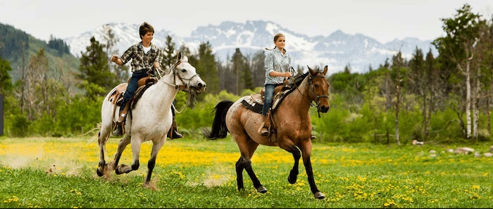 Confident plus-size woman riding Hucknall under Huthwaite a horse through a field with a smile on her face.